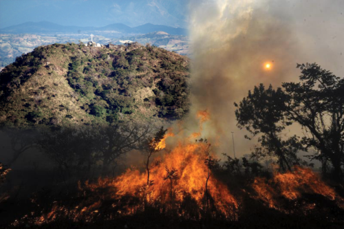 Cerro Tecana se incendia