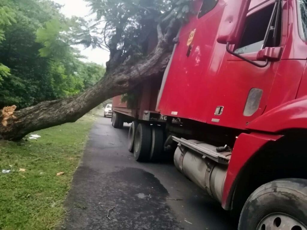 Árbol cae sobre rastra en carretera a Santa Ana. Noticias de El Salvador.