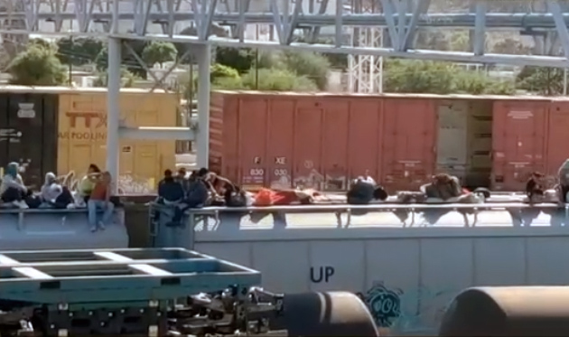 El tren "la bestia" suspende actividad por situación con migrantes